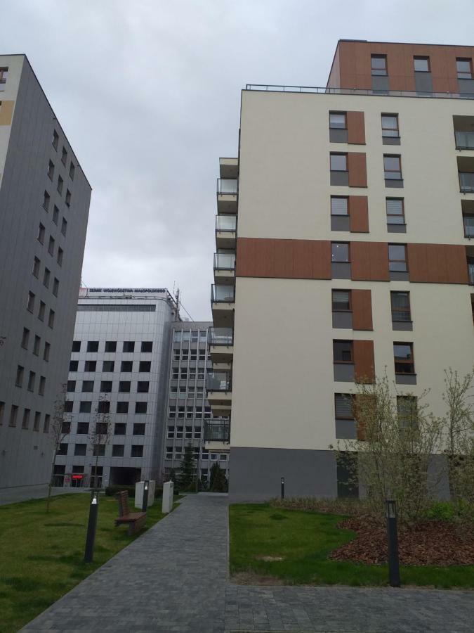 Am Krakau